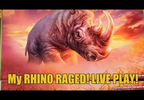 BIG WIN! RAGING RHINO SLOT MACHINE BONUS-LIVE PLAY