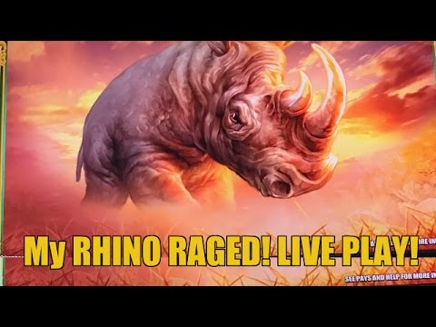 BIG WIN! RAGING RHINO SLOT MACHINE BONUS-LIVE PLAY