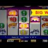 Wonder 4 Buffalo Slot – $8 Max Bet – HUGE BONUS WIN!