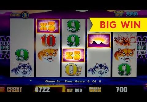Wonder 4 Buffalo Slot – $8 Max Bet – HUGE BONUS WIN!