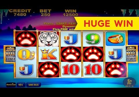 White Tiger Slot – 5 SYMBOL TRIGGER – BIG WIN BONUS!