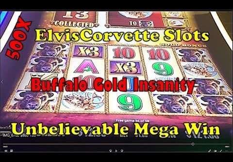 Buffalo Gold |  Mega Win | Going After 15 Golden Heads | 500X My Bet