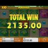 €2135 Mega Win on new Mayana Slot!