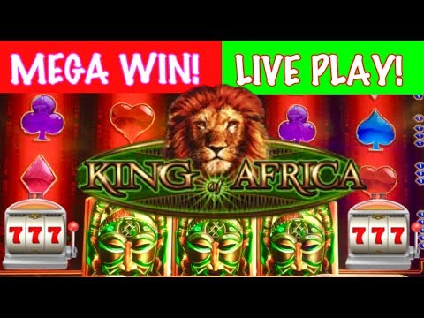 LIVE PLAY + MEGA WIN!!! King of Africa Slot Machine!!!
