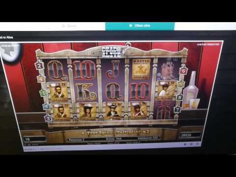 Dead Or Alive slot my biggest win ever!