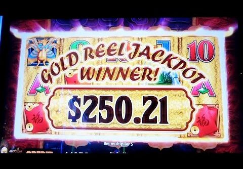 RIDING THE JACKPOT HIGH: BIG BETS, BIG WINS, GREAT DAY – Slot Machine Bonus Wins