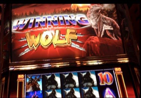 WINNING WOLF | Ainsworth – 2014 BIG WIN Slot Bonus (All Wolves)