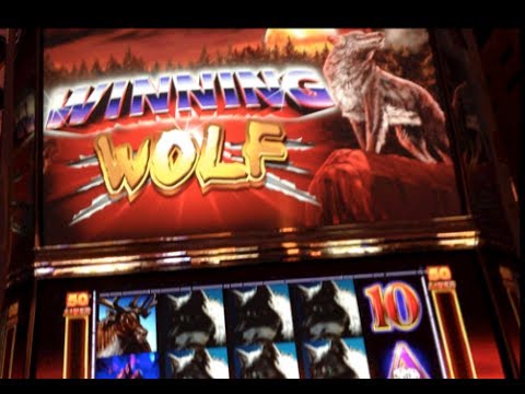WINNING WOLF | Ainsworth – 2014 BIG WIN Slot Bonus (All Wolves)