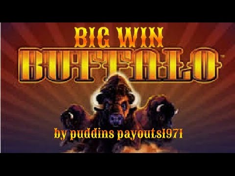 BUFFALO SLOT MACHINE BIG WIN!