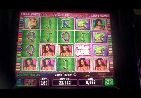 White Orchid Slot Machine BIG WIN Line Hit
