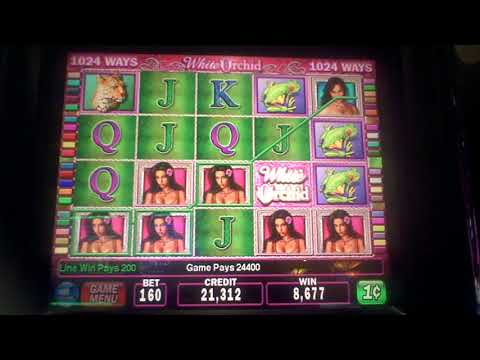 White Orchid Slot Machine BIG WIN Line Hit