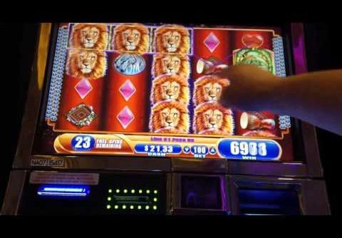 50 FREE GAMES! KING Of AFRICA Slot Machine BONUS!! Big Win!!!