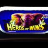 Super Big Win *HERDS of WINS* Konami Slot Bonus!