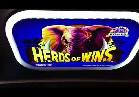 Super Big Win *HERDS of WINS* Konami Slot Bonus!