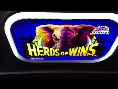 Super Big Win *HERDS of WINS* Konami Slot Bonus!