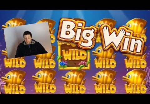 Huge Win on Golden Fish Tank | YGGDrasil