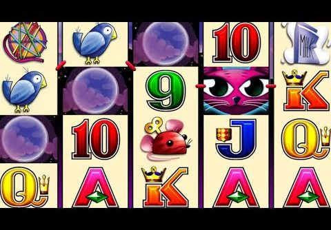 Miss Kitty slot – Big win!