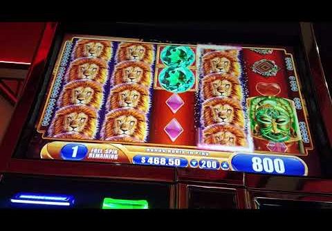 King of Africa Slot Machine Bonus – Mega Win