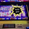 Jackpot Buffalo Wonder 4 Huge win Super free Games