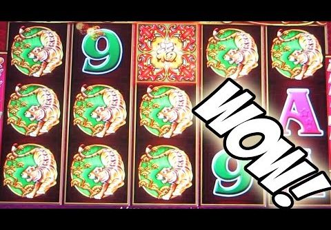 BIG WIN HIT AND RUN, GET OUT WHILE YOU CAN — [Slot Machine Super Big Win Bonus]