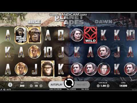 SUPER BIG WIN  Play Planet of the Apes  | NetEnt – BIG WIN 595