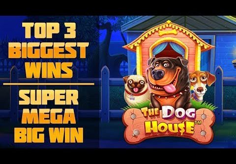 Top 3 biggest wins in June – Epic win. The Dog House slots