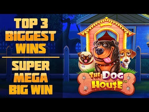 Top 3 biggest wins in June – Epic win. The Dog House slots