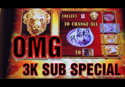 MASSIVE WIN ON BUFFALO GOLD SLOT MACHINE * THIS VIDEO WILL GIVE YOU ANXIETY …….IM SORRY  :)