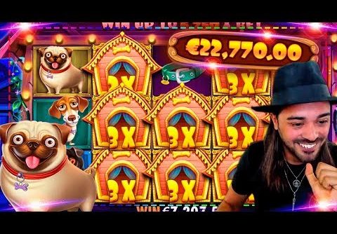 ROSHTEIN Huge Win on Dog House slot – Top 5 Biggest Wins of week