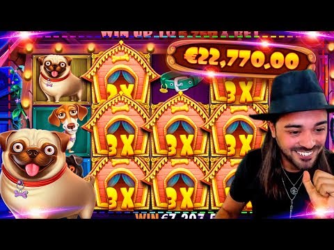 ROSHTEIN Huge Win on Dog House slot – Top 5 Biggest Wins of week