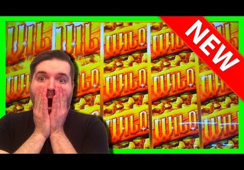 BIGGEST WIN ON YOUTUBE *** on Joe Blow Gold Slot Machine! *** I FOUND JOE BLOW IN HIGH LIMIT!