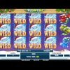 Flowers Christmas Edition Slot BIG WIN 30 euro bet