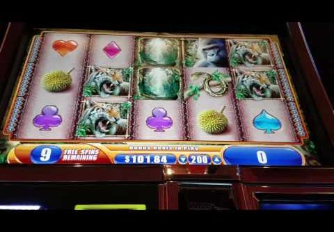 Queen of the Wild Slot Machine –  $2 Bet Bonus – Super Big Win