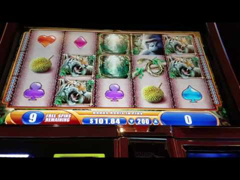 Queen of the Wild Slot Machine –  $2 Bet Bonus – Super Big Win