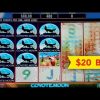 Coyote Moon Slot – $20 High Limit Bet – BIG WIN LIVE PLAY!