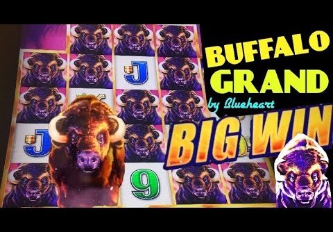 BUFFALO GRAND slot machine Min Bet Bonus & BIG WIN MEGA LINE HIT!