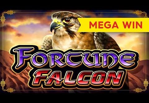 Fortune Falcon Slot – MEGA BIG WIN!