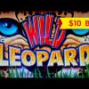 Wild Leopard Slot – RETRIGGER, BIG WIN SESSION – $10 Bet!