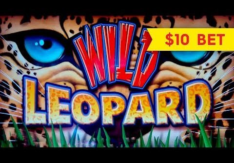Wild Leopard Slot – RETRIGGER, BIG WIN SESSION – $10 Bet!
