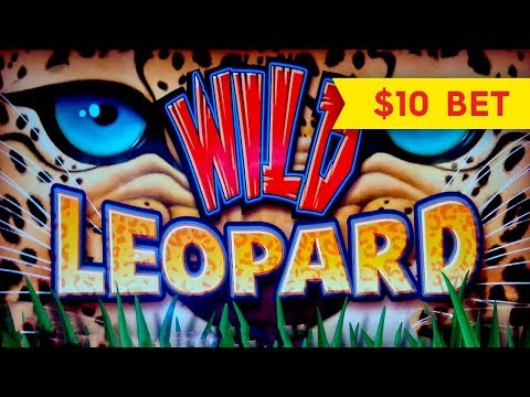 Wild Leopard Slot – RETRIGGER, BIG WIN SESSION – $10 Bet!