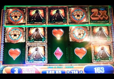 Jungle Wild 3 GIANT MEGA BIG WIN! *MAX BET* Bonus WMS Slot Machine