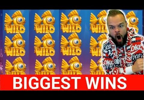 ONLINE CASINO WINS #15 JJCASINO & CLASSY BEEF DESTROYS REACTOONZ MEGA WIN