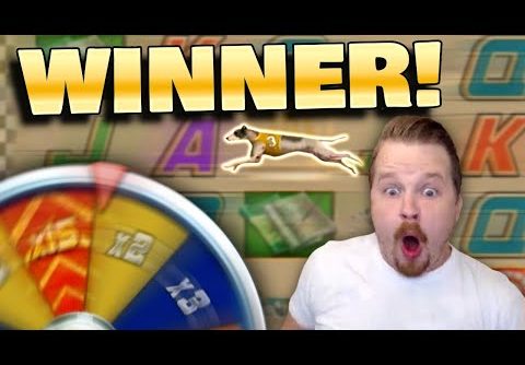 BIG WIN in Wildhound Derby Slot