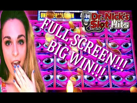 **BIG WIN WITH FULL SCREEN!!!** Ms. Kitty Gold Slot Machine *CAN I GET THOSE GOLDFISH?!?*