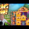 BIG WIN!!! Dog House BIG WIN!! Casino Slot from CasinoDaddy Live Stream