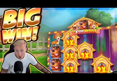 BIG WIN!!! Dog House BIG WIN!! Casino Slot from CasinoDaddy Live Stream