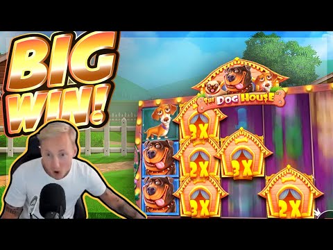 BIG WIN!!! Dog House BIG WIN!! Casino Slot from CasinoDaddy Live Stream