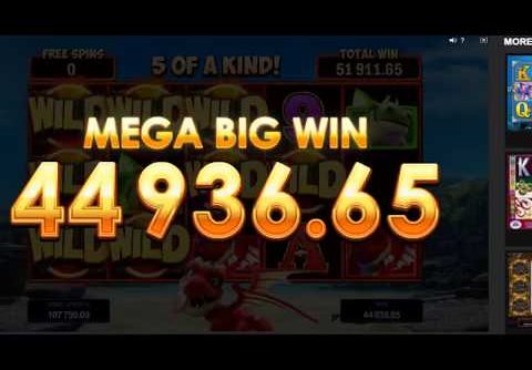 MEGA BIG WIN On Dragonz Slot Machine