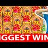 ONLINE CASINO WINS #10 reactoonz & the dog house AMAZING MEGA WIN