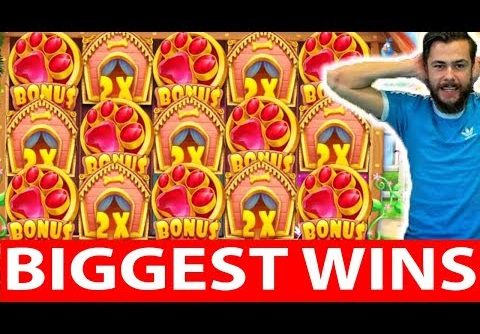 ONLINE CASINO WINS #10 reactoonz & the dog house AMAZING MEGA WIN